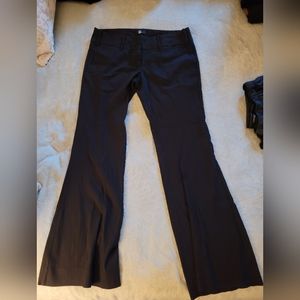 Women's dress pants